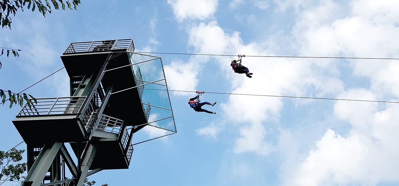 짚라인 - ZIPLINE - 더챌린지