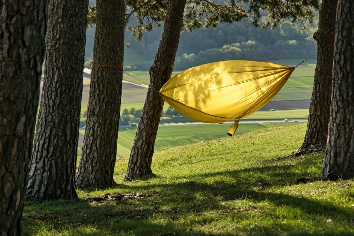 forest, hammock, trees, nature, woods, landscape, hammock, hammock, hammock, hammock, hammock