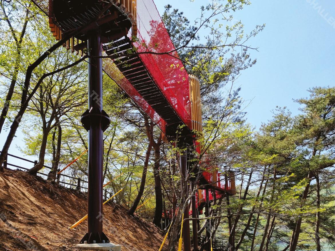 sky_net_walk_02