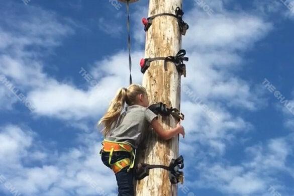 tree_climbing_04