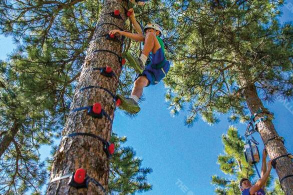 tree_climbing_05