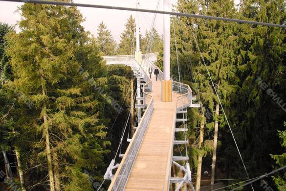 tree_top_walk_bridge_05