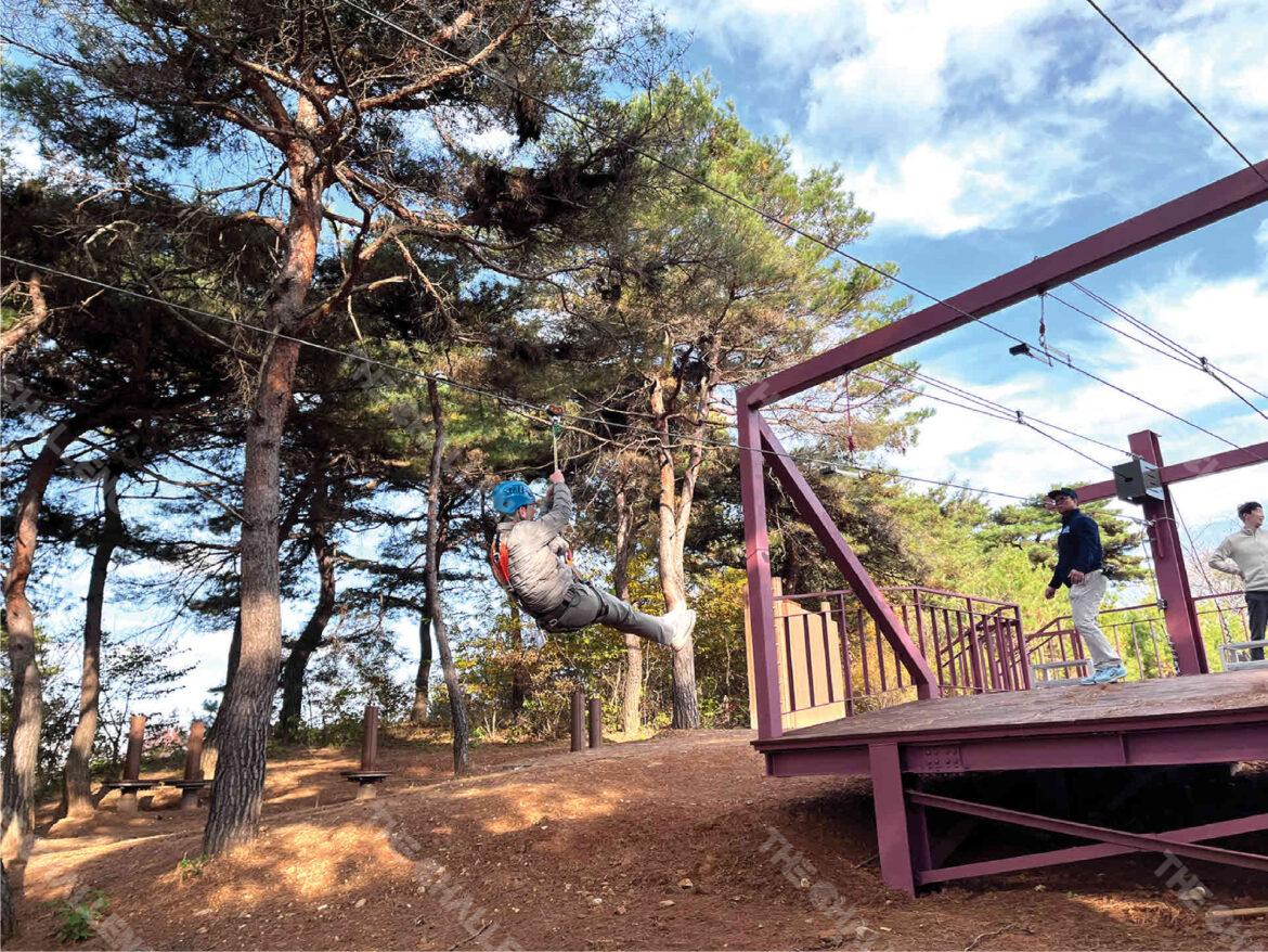 zipline-02_02